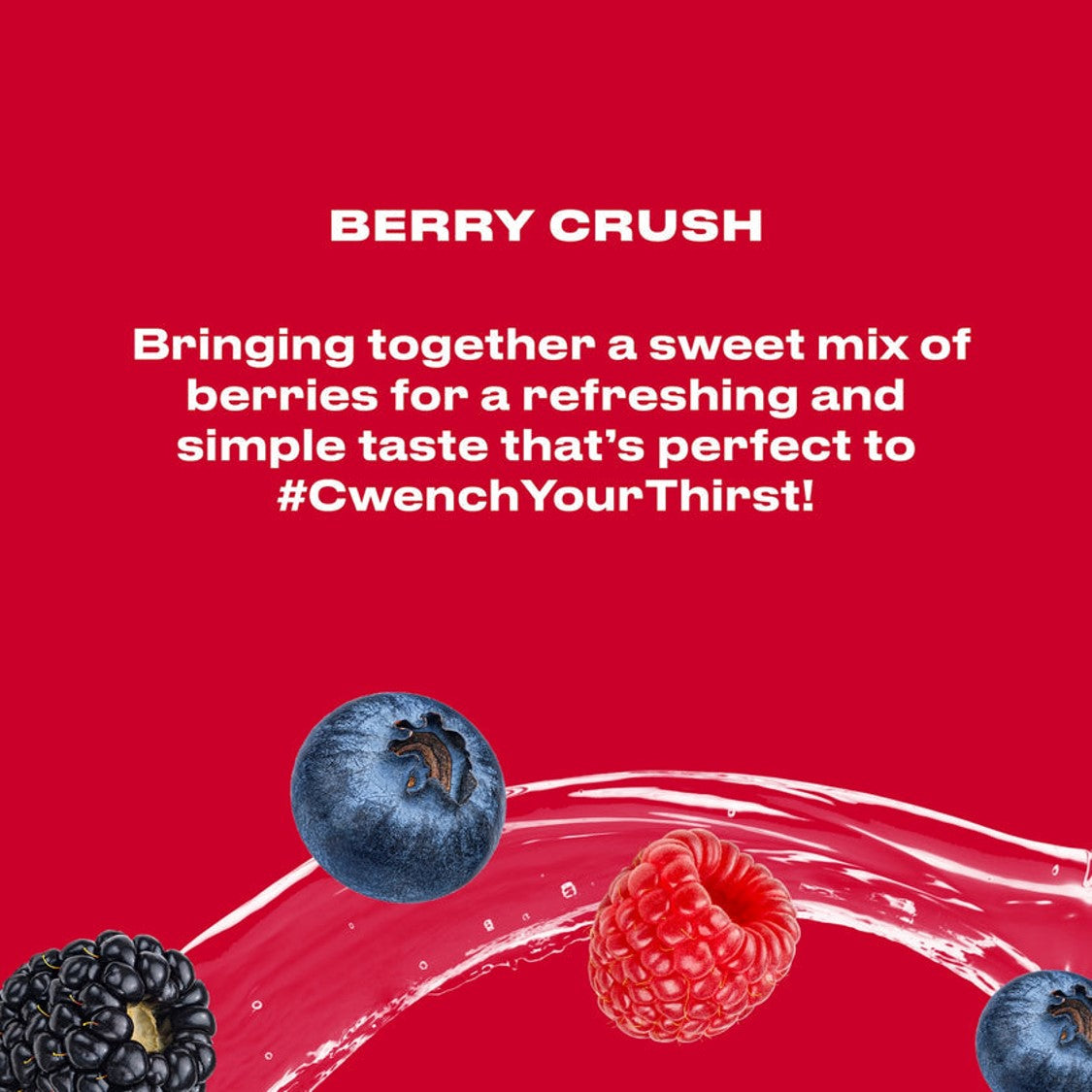 Hydratationsmischung - Berry Crush 10 Pack